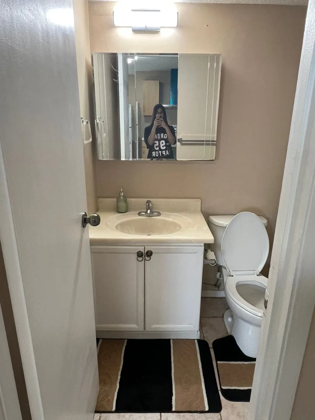 Fully furnished large room