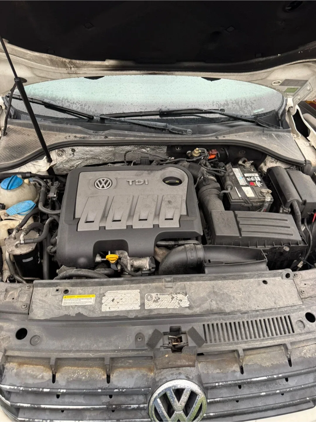 2013 Volkswagen Passat Tdi image indicator(10)