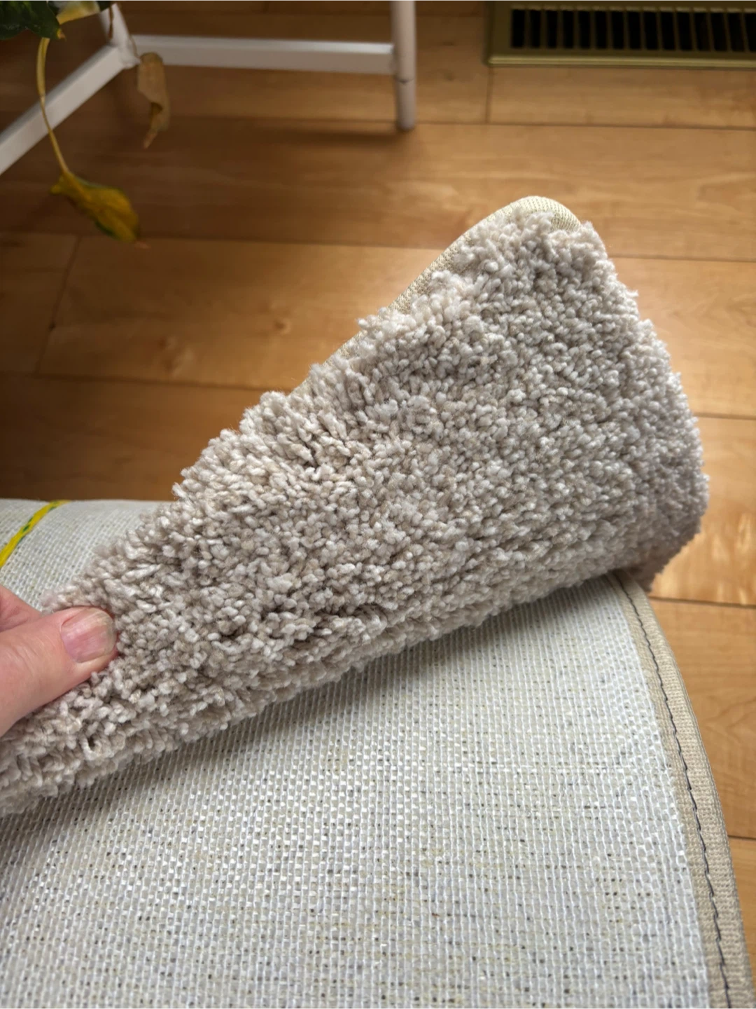 Beige Area Rug