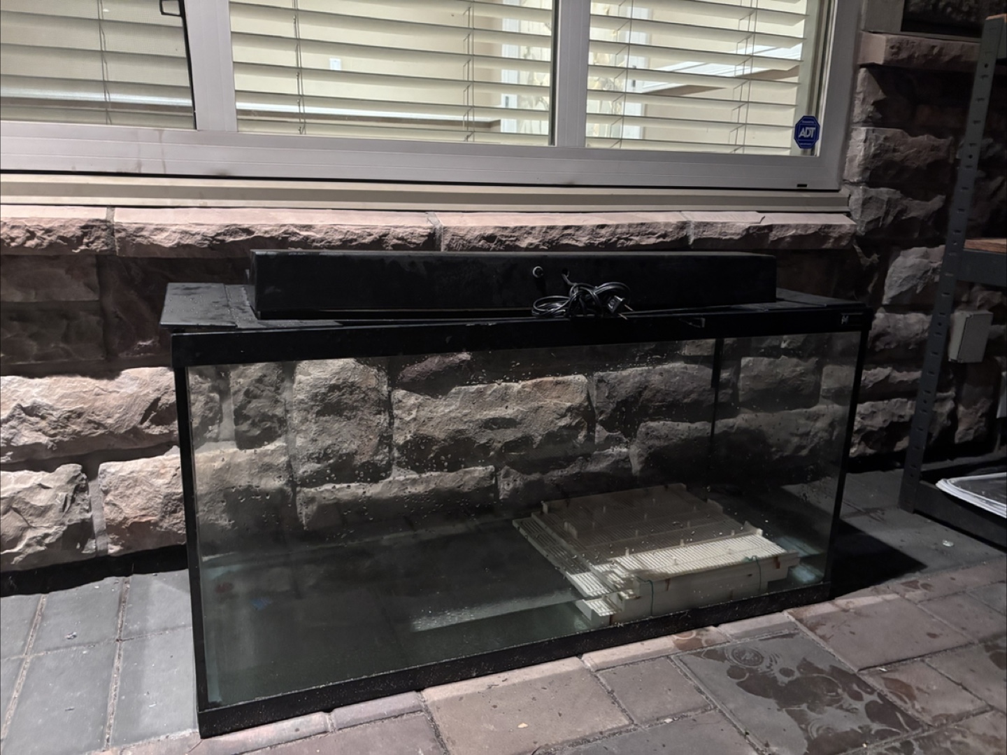 Fish Tank
