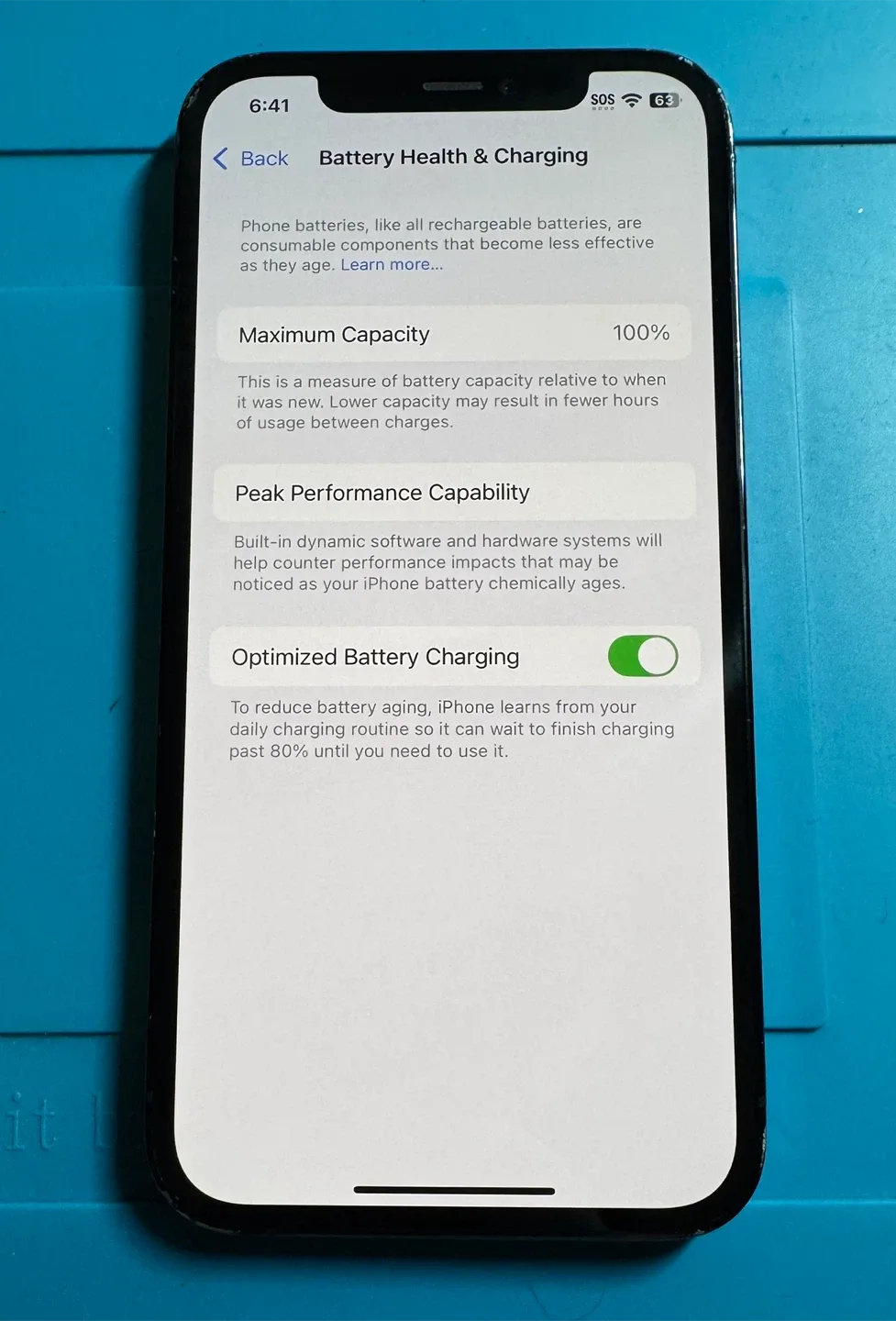 iPhone 12 Pro - 100% Battery Health