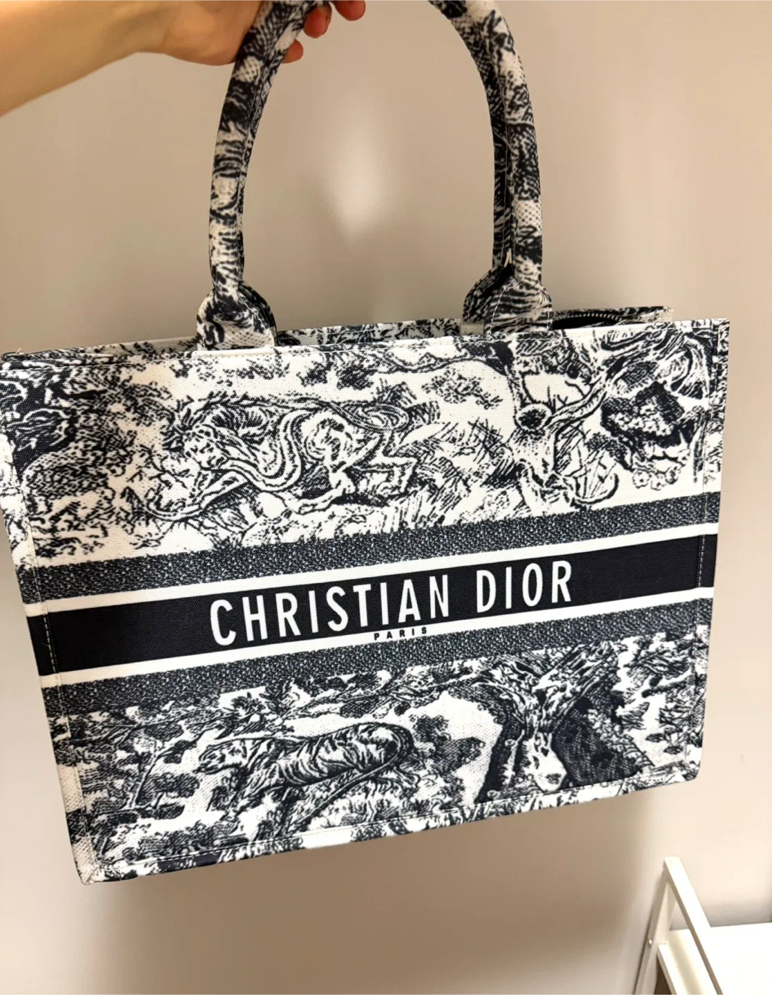 Christian Dior Book Tote Bag