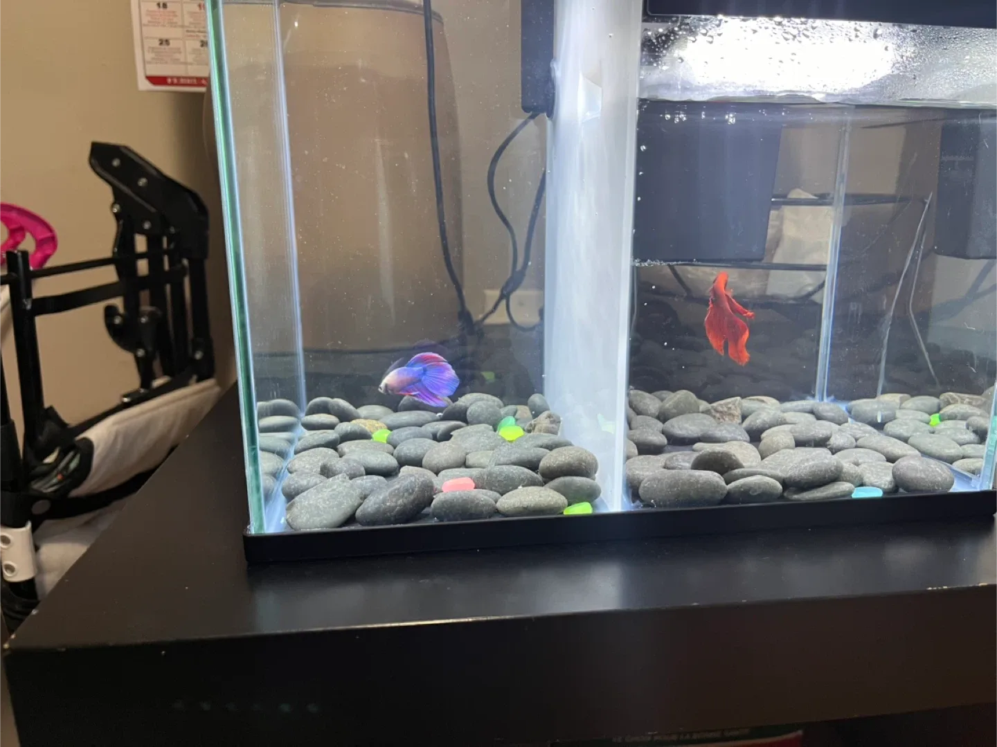 Used Aquarium with Accessories image indicator(9)