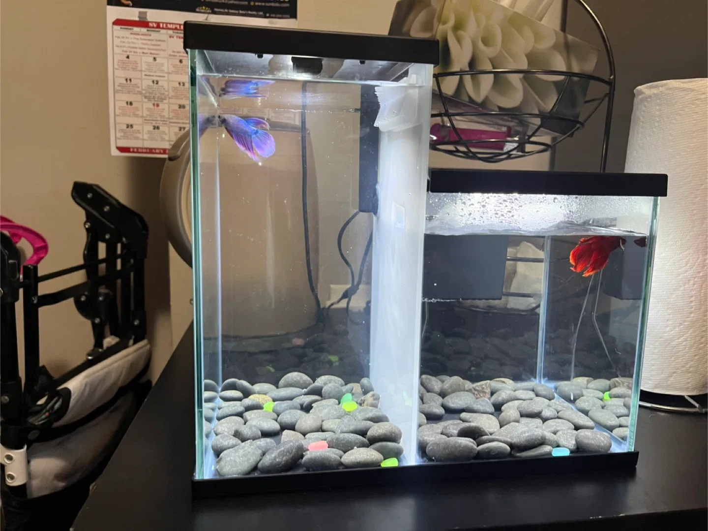 Used Aquarium with Accessories image indicator(8)