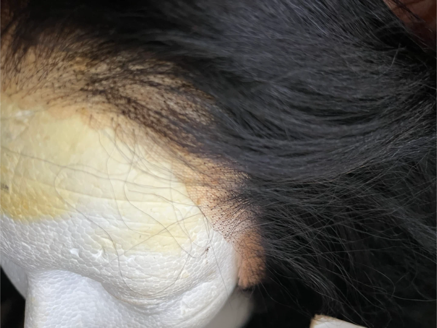 Black Wig - photo 4
