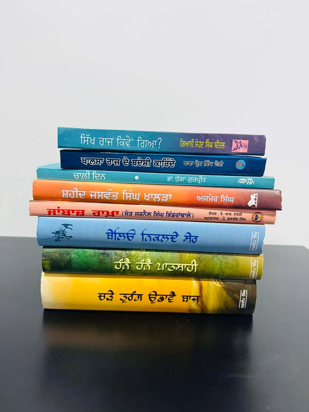 Punjabi Books - Sikh History & Culture