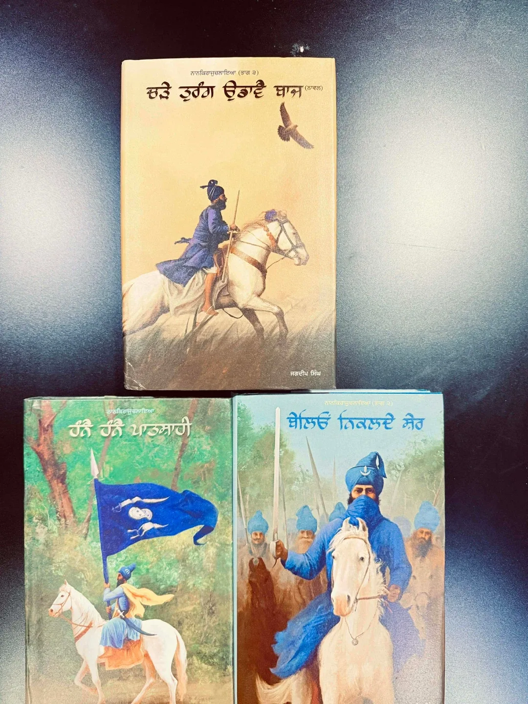 Punjabi Books - ਚੜੇ ਤੁਰੰਗ ਉਡਾਵੈ ਬਾਜ (ਨਾਵਲ)