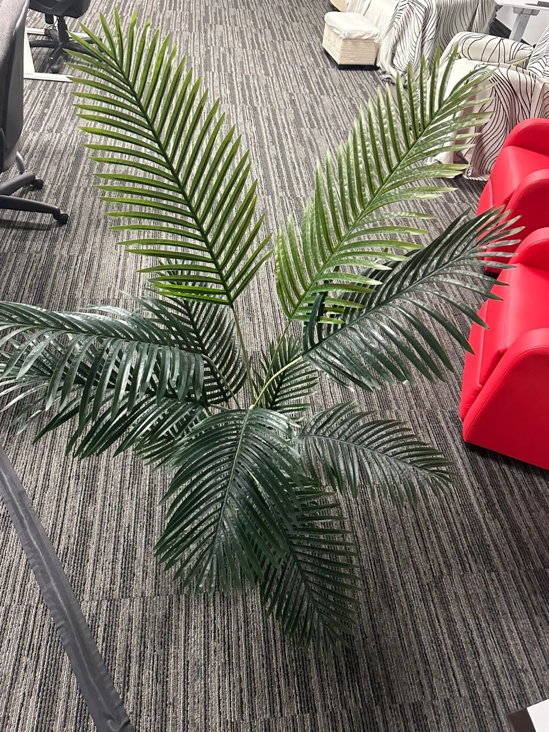 Faux Palm Tree, 54 inches tall image indicator(3)