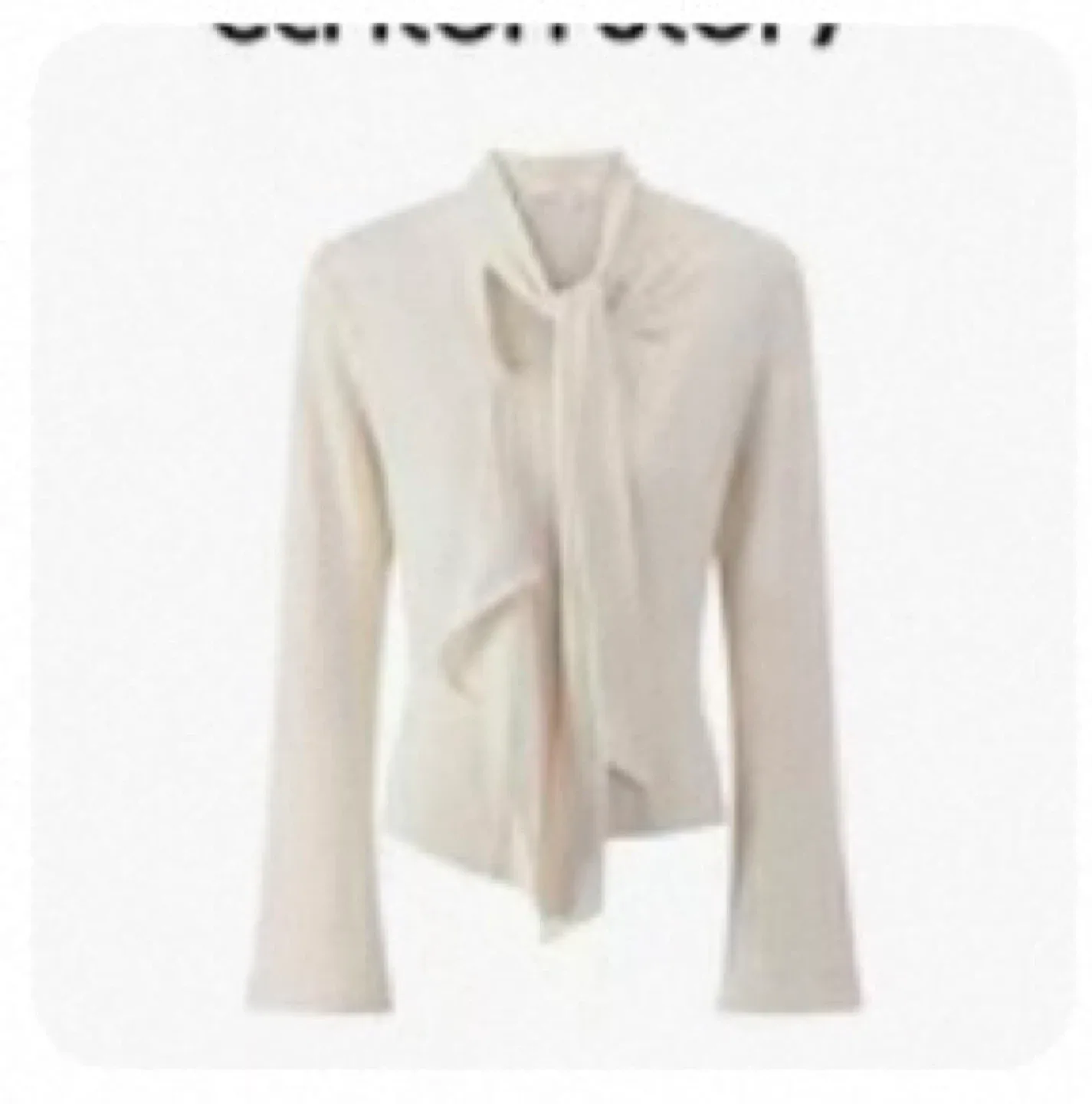 Beige Tie-Neck Blouse