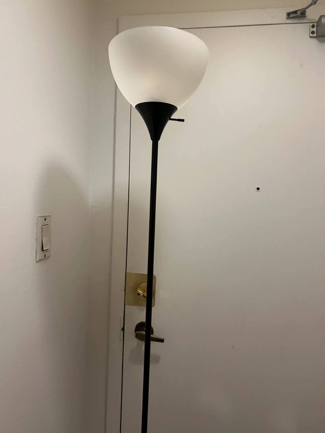 Black Floor Lamp with White Shade - photo 3