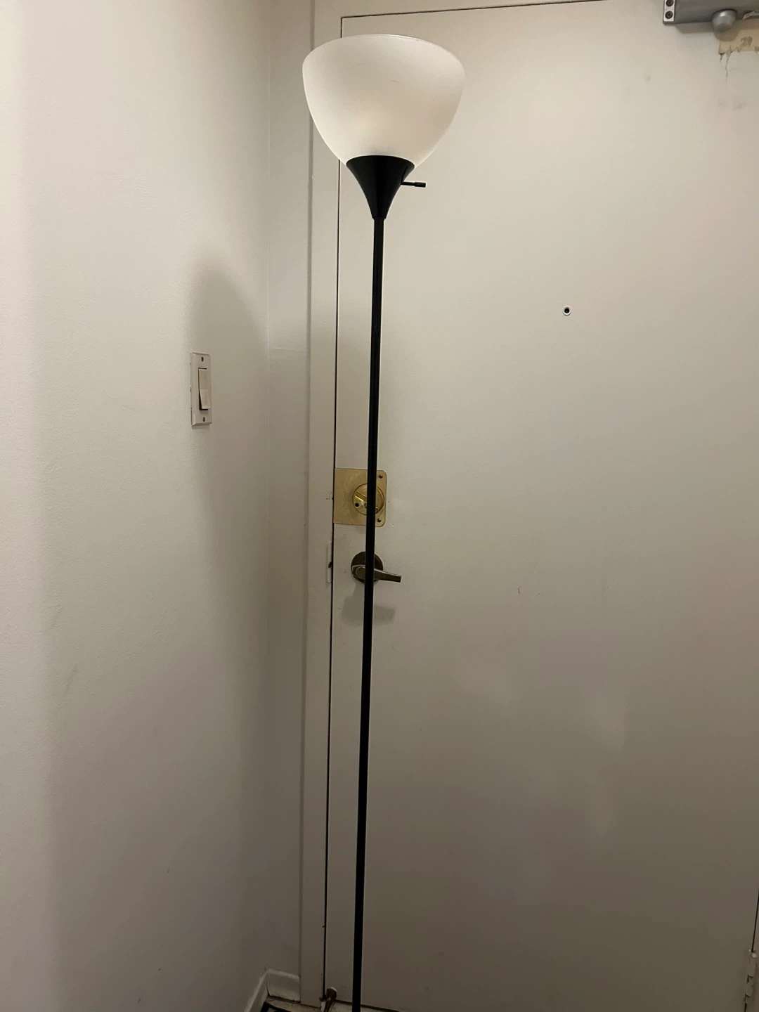 Black Floor Lamp with White Shade
