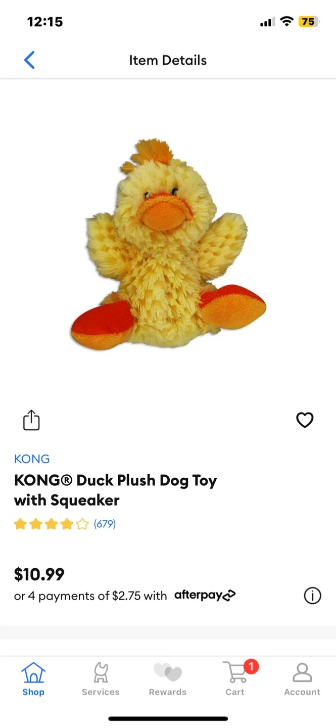 XS/S Kong Dog Toys Lot image indicator(4)