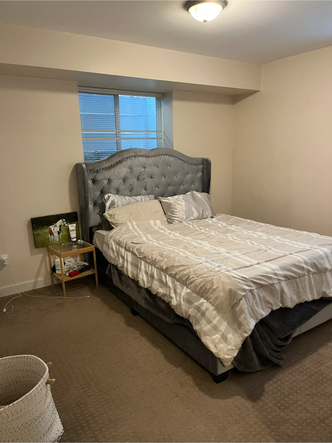 1 bedroom 1 bath basement Suite image indicator(5)