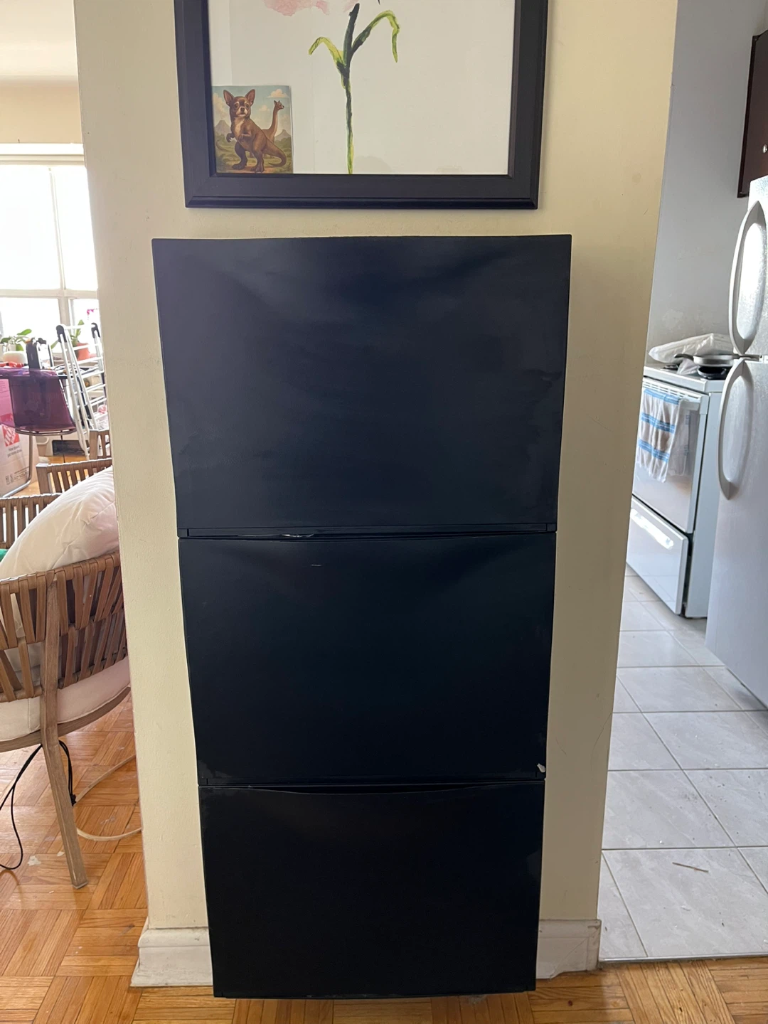 IKEA TRONES Shoe/Storage Cabinet - Black - photo 5