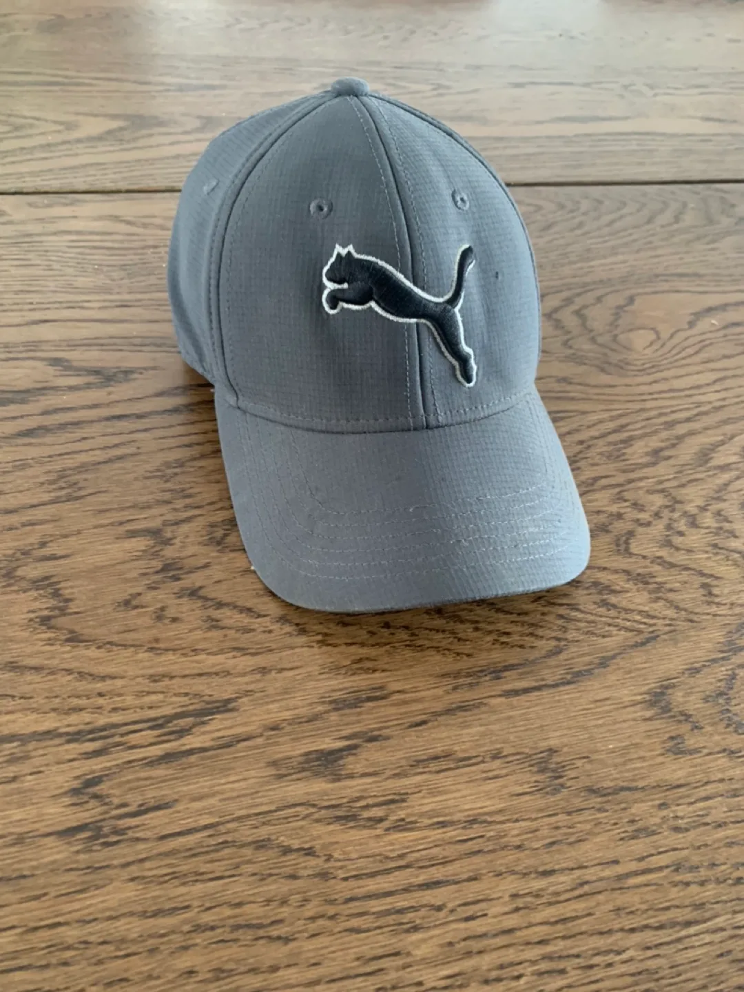 Puma hat