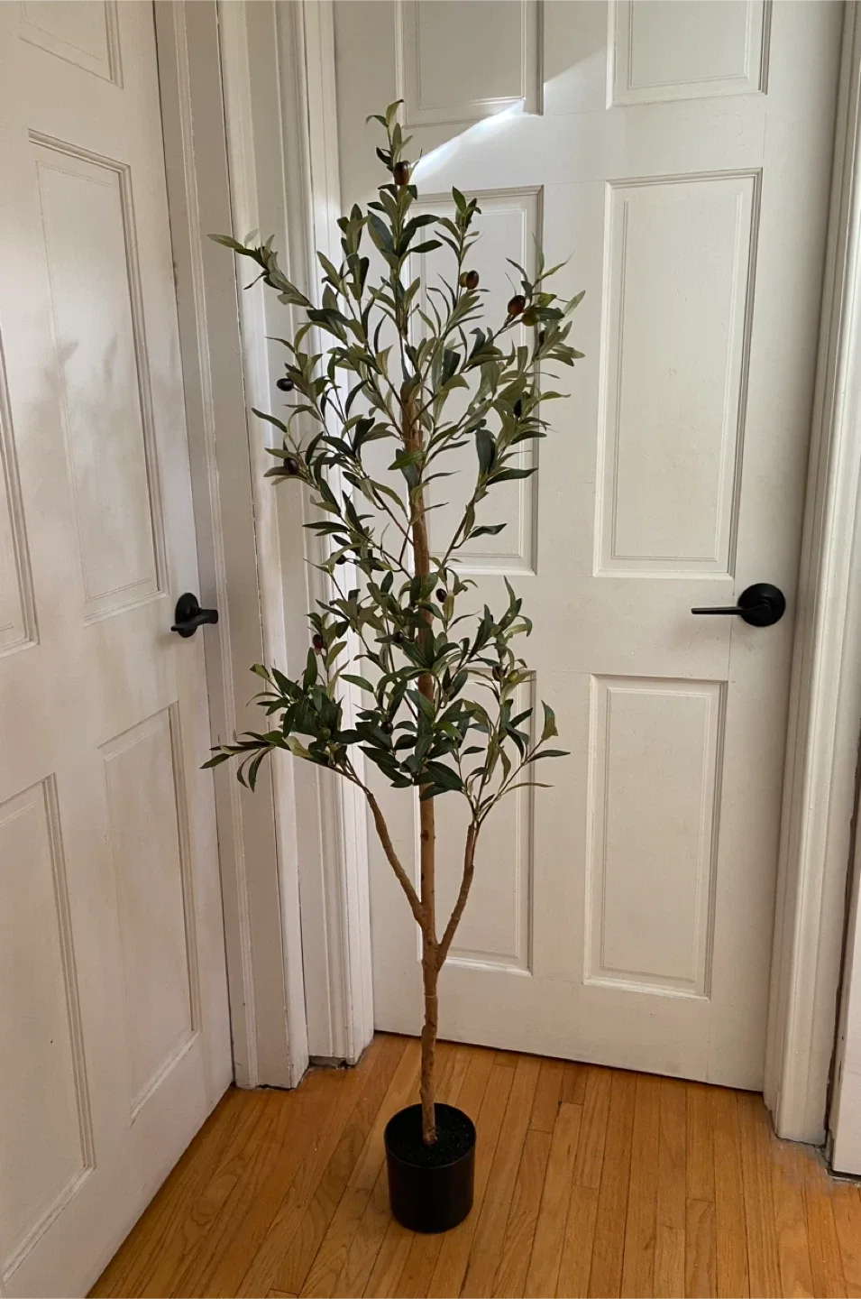 New 5’ Artificial Olive Tree image indicator(5)