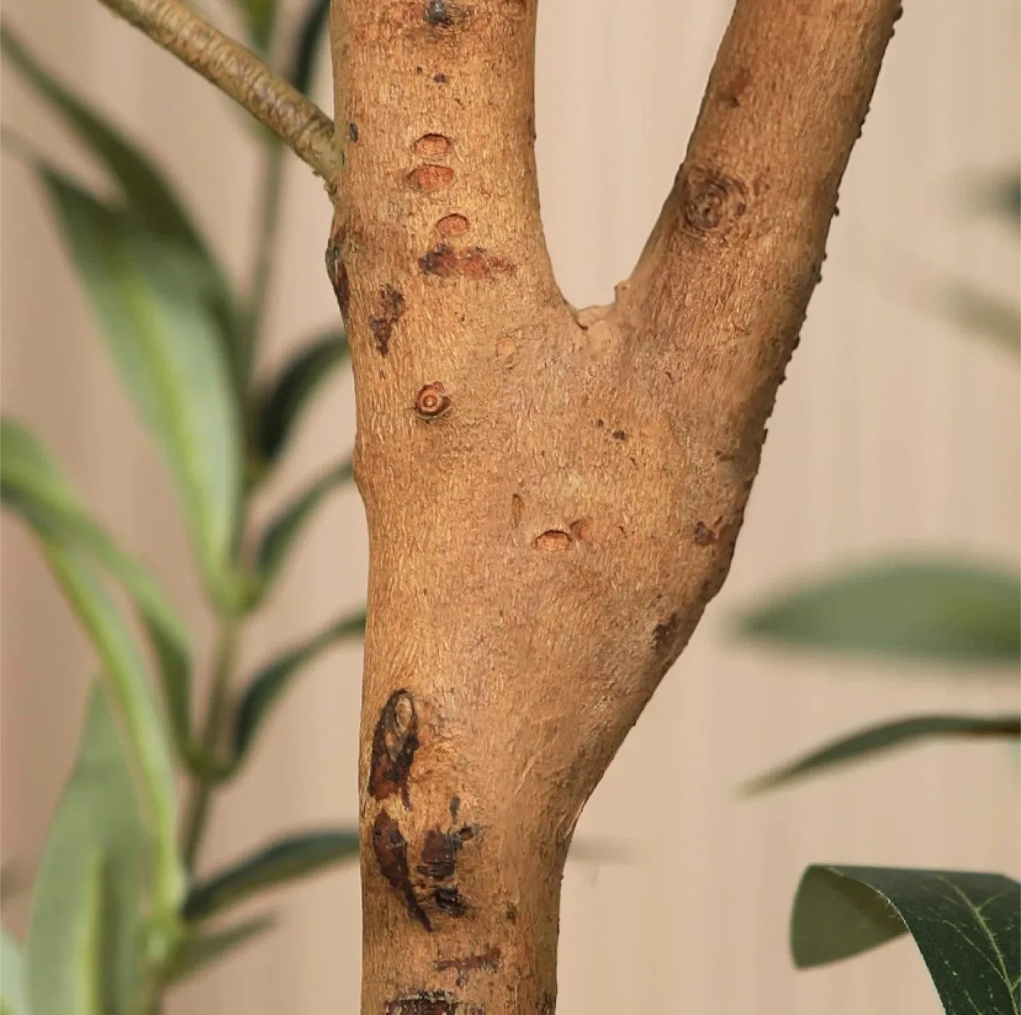 New 5’ Artificial Olive Tree image indicator(3)