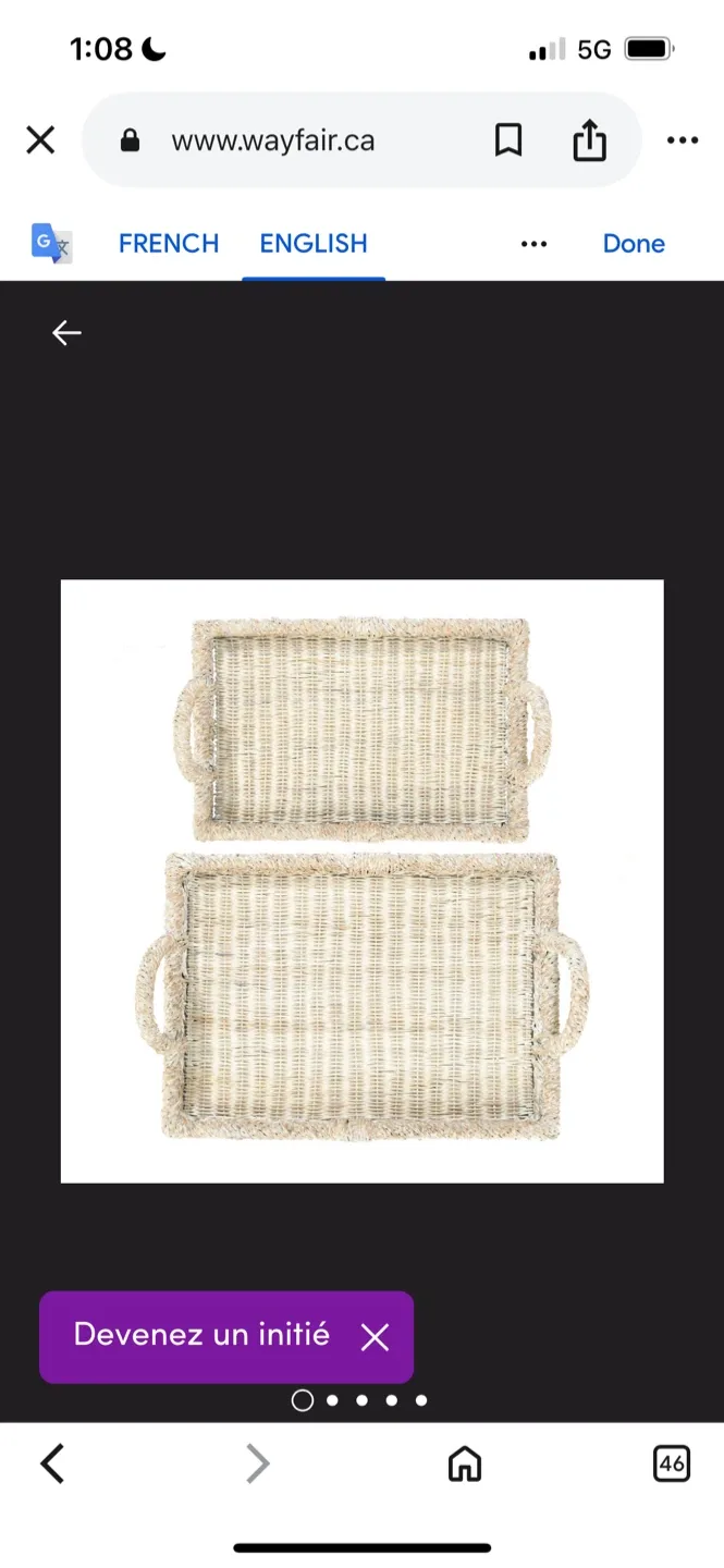 New Wayfair Rattan Serving Trays - Set of 2
