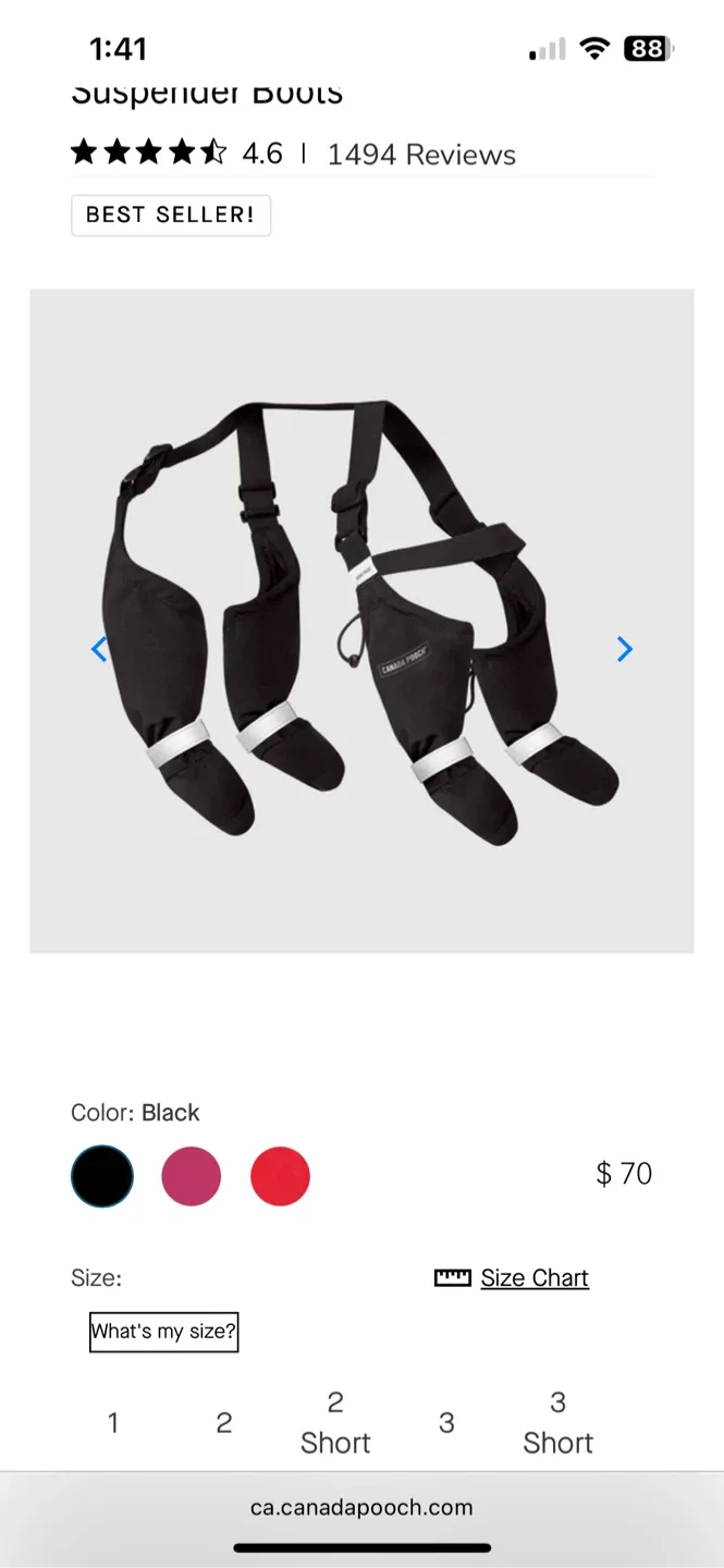 Canada Pooch Suspender Dog Boots Size 1 (smallest size) image indicator(4)