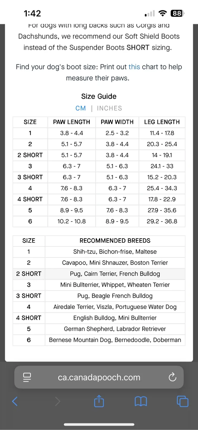 Canada Pooch Suspender Dog Boots Size 1 (smallest size) image indicator(5)