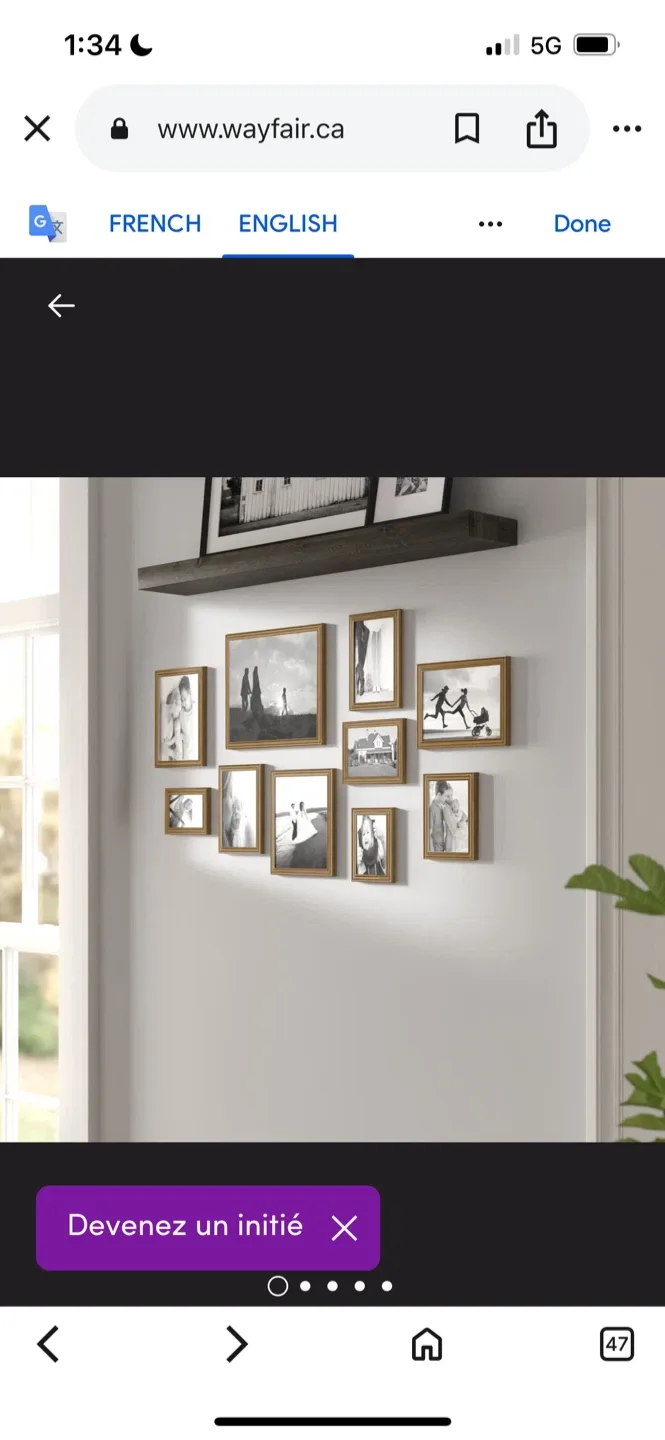 New Wayfair 10-Piece Brown Picture Frame Set