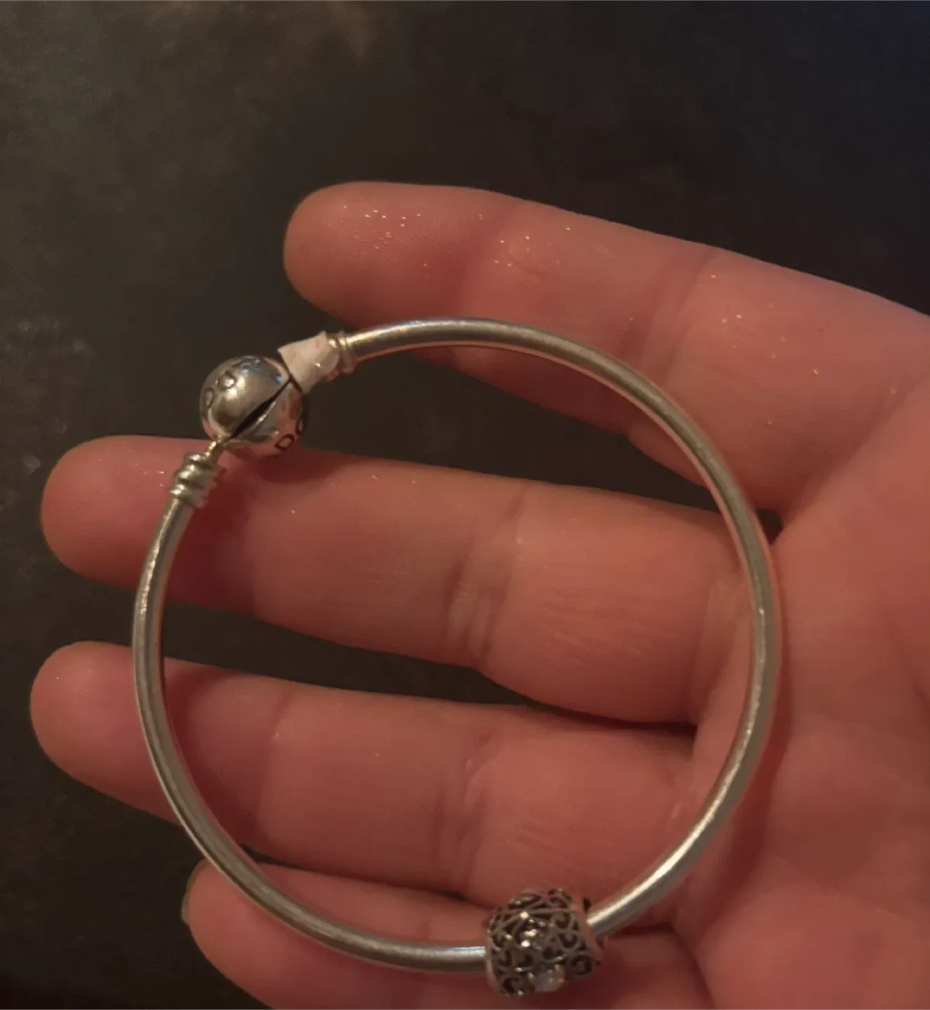 Pandora Bangle Bracelet with Charms image indicator(3)