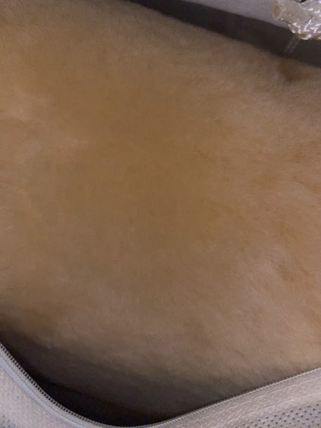 Sheepskin Rug image indicator(3)