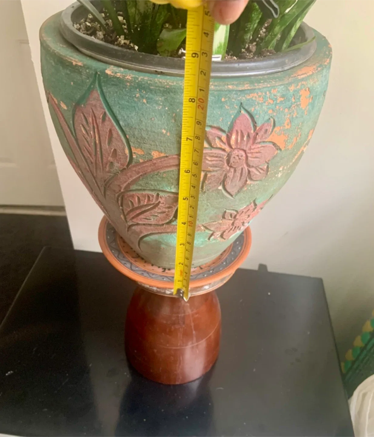 Snake Plant in Decorative Pot image indicator(7)