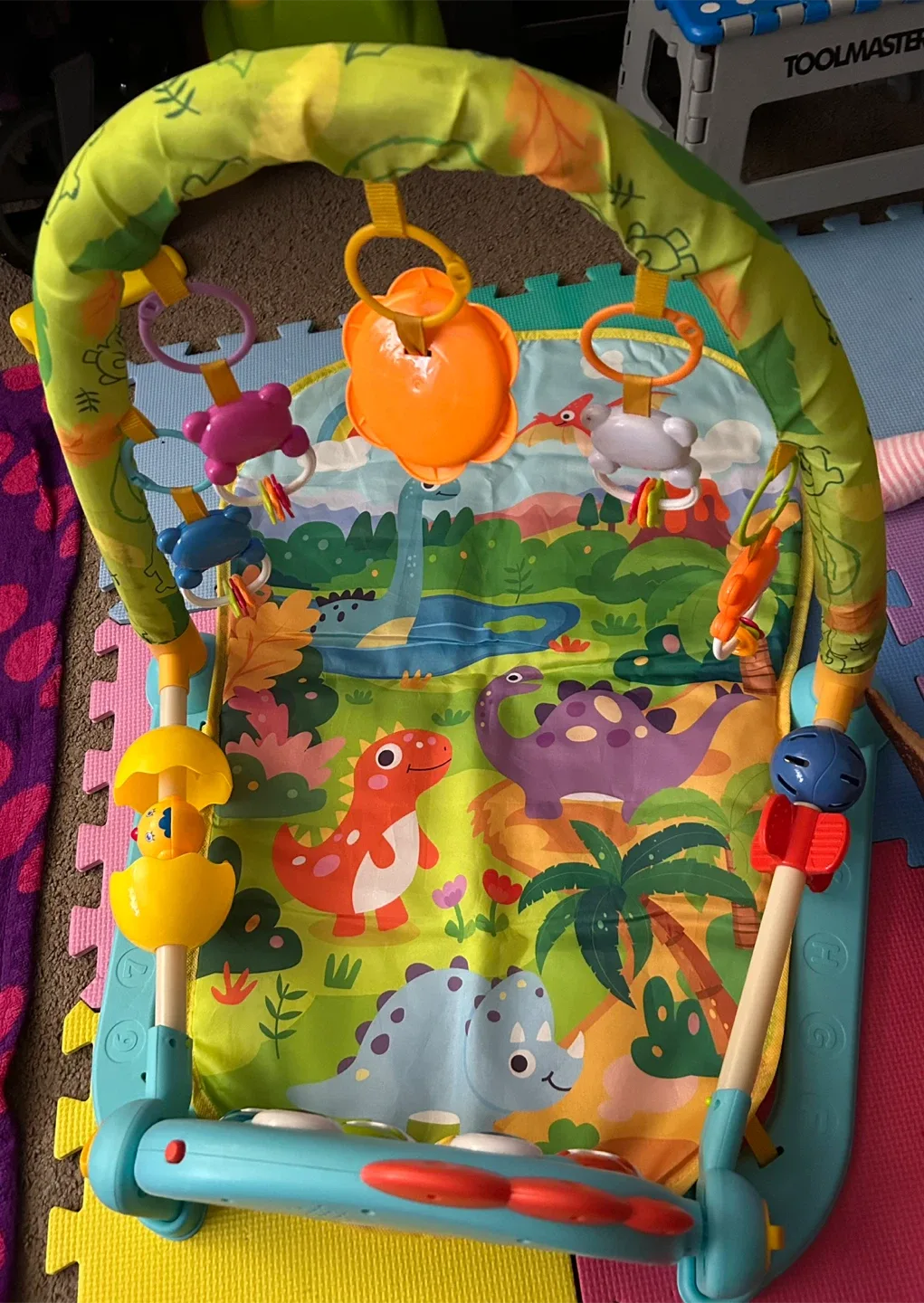 Dinosaur Activity Gym Play Mat