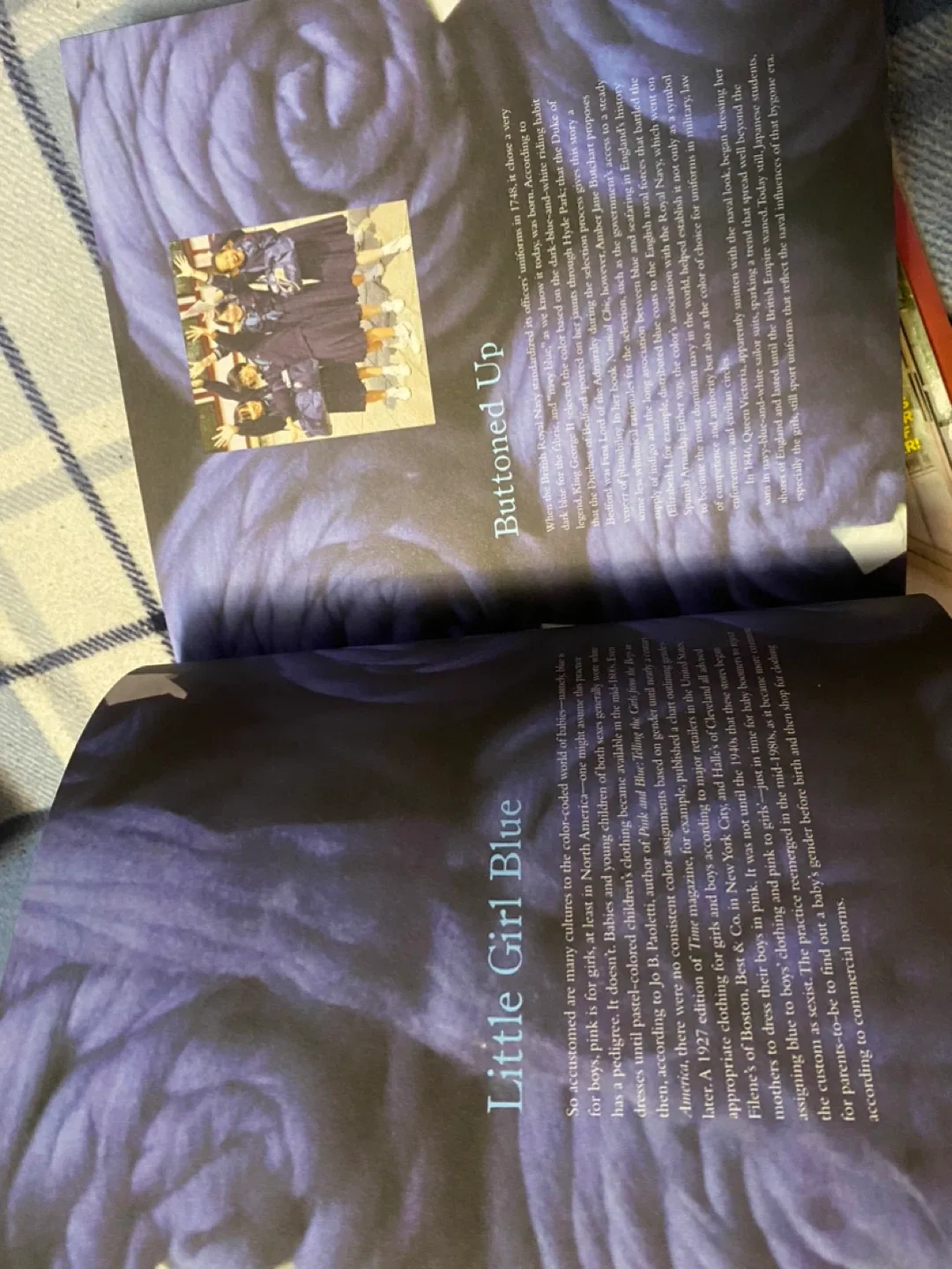 Classy interior design book - Ode to color image indicator(3)