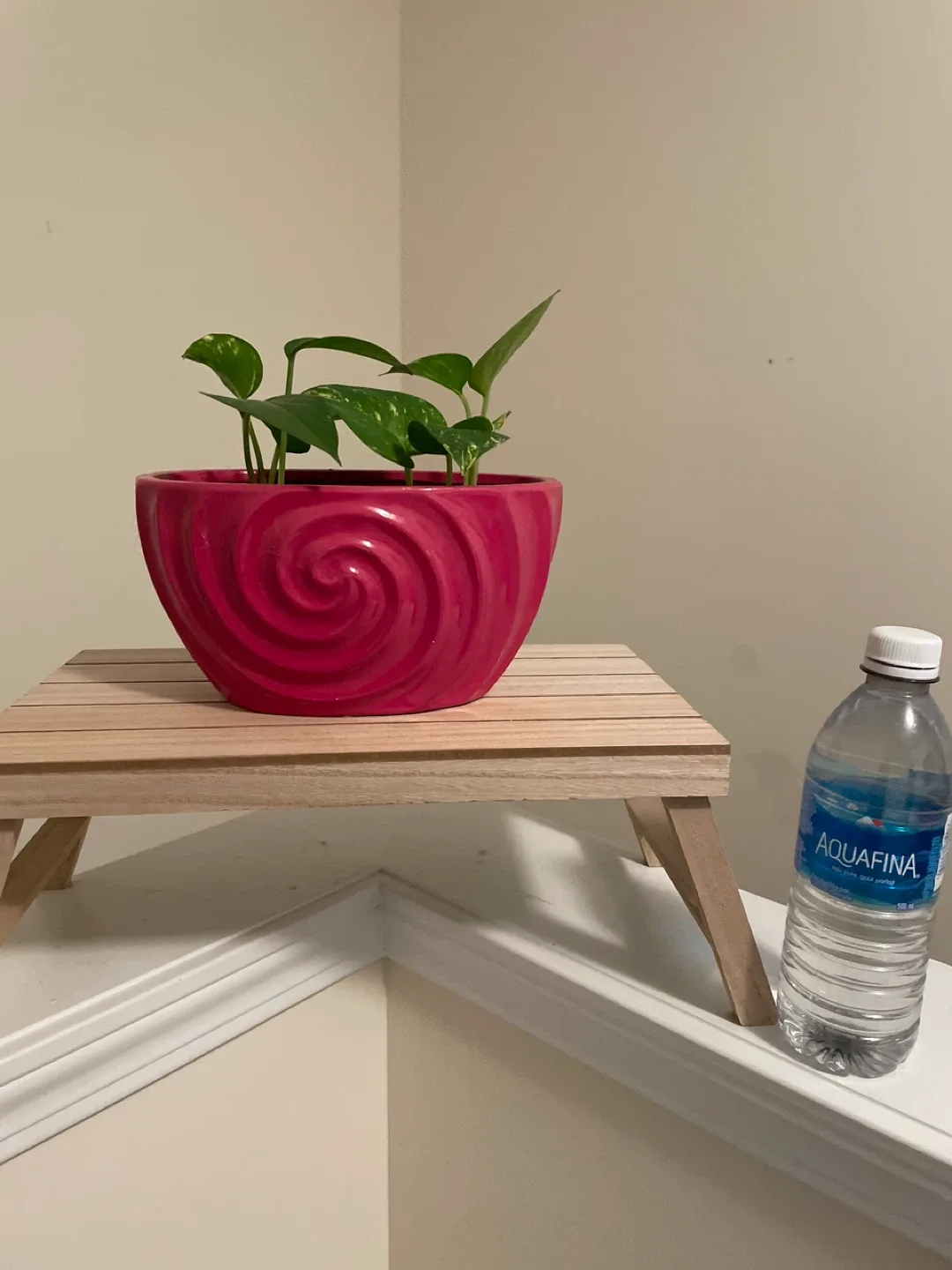 Ceramic Potted Golden Pothos Plant with Stand image indicator(3)