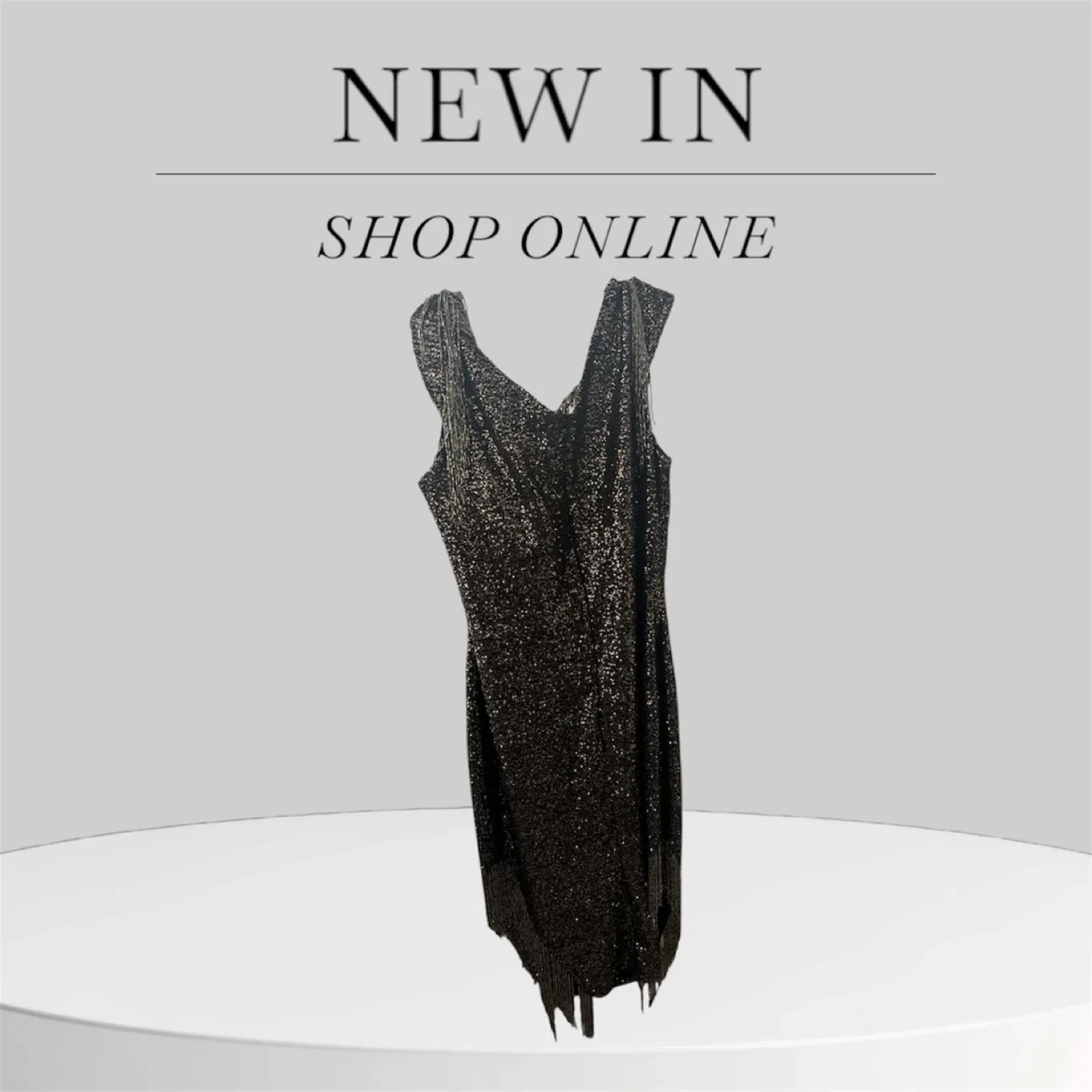 Sparkly Fringe Dress