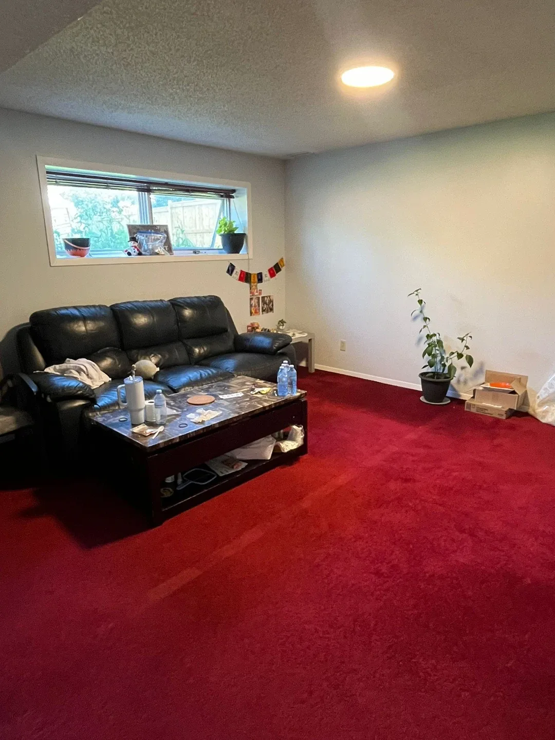 Private room in 2 bedroom basement