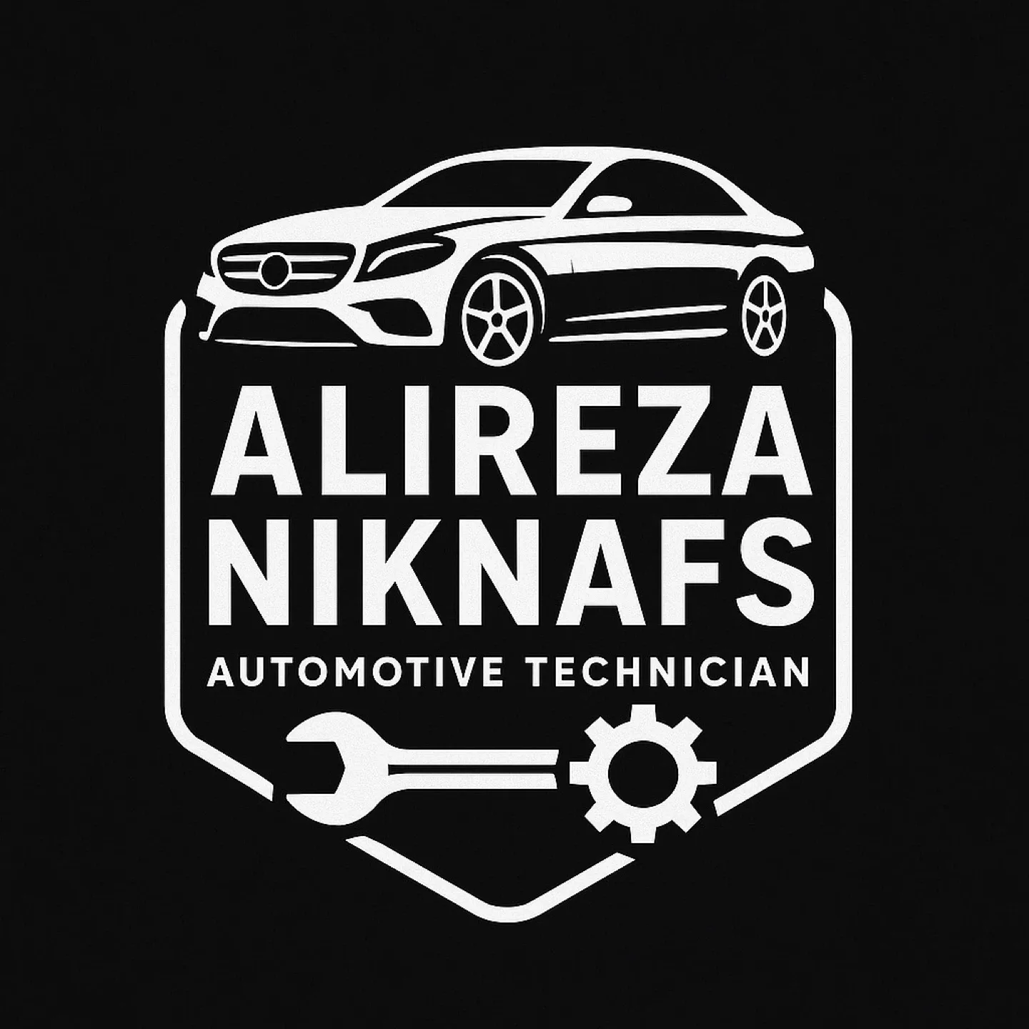 Pre purchase car inspection and mechanic