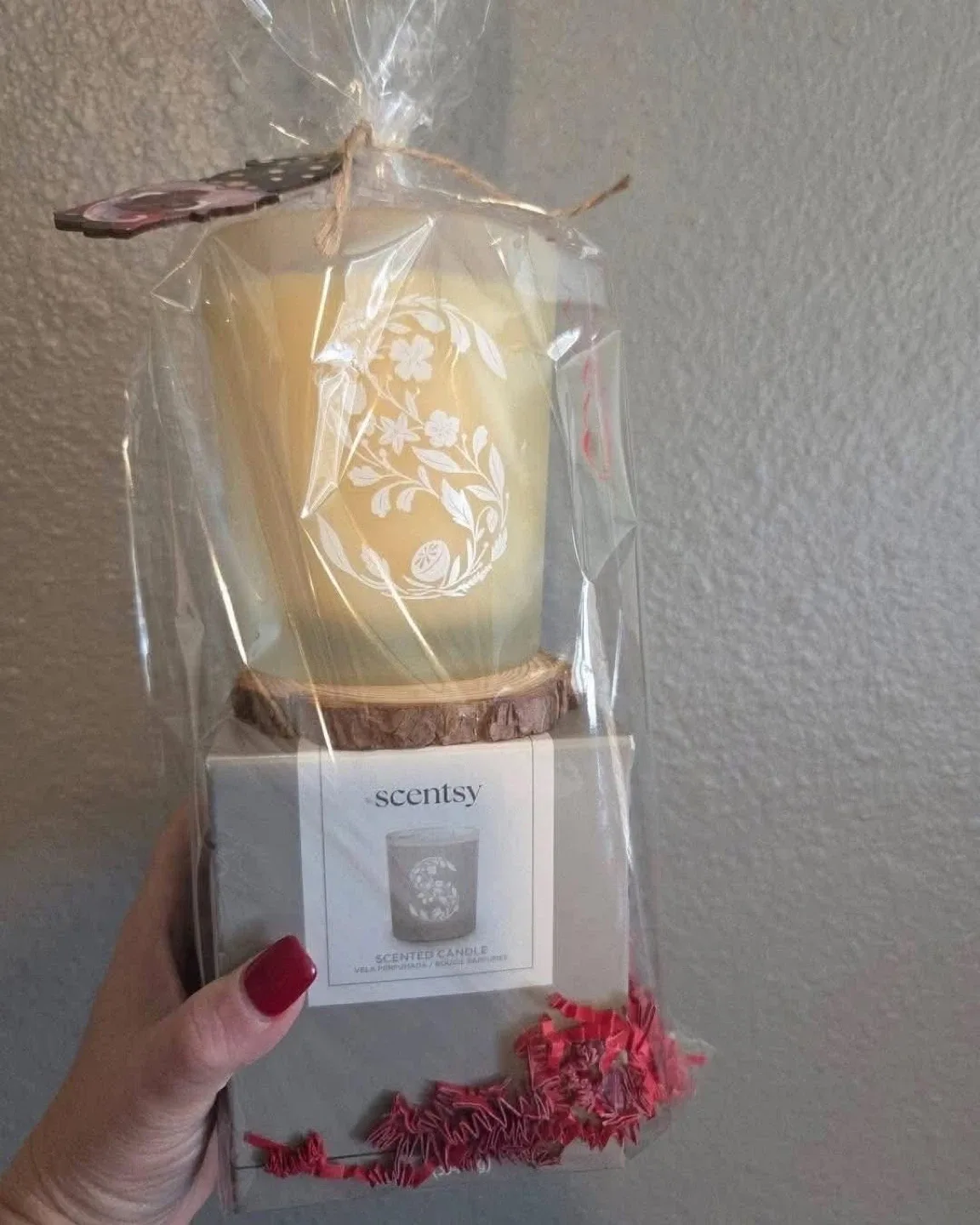 Scentsy Candle Collection