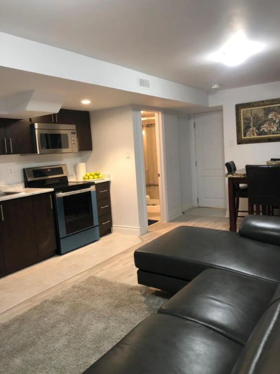 Furnished Basement Apartment for rent - photo 2