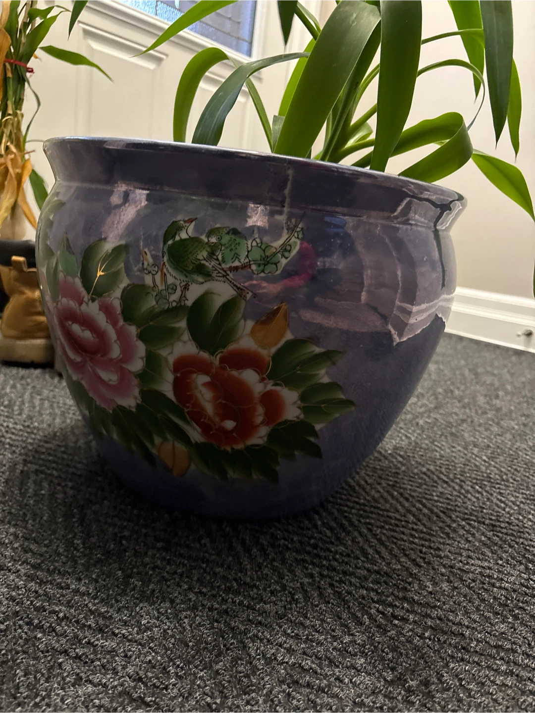 Potted Plant with Decorative Pot - photo 3