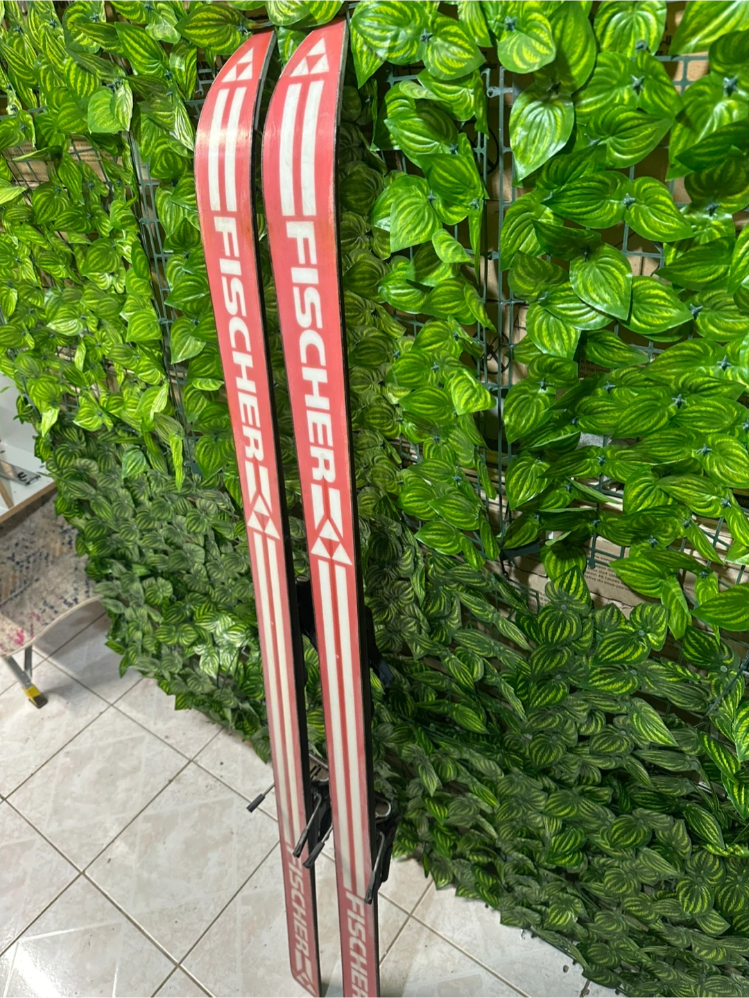 Fischer SC GS Downhill Mountain Skis, 58 inches long - photo 3
