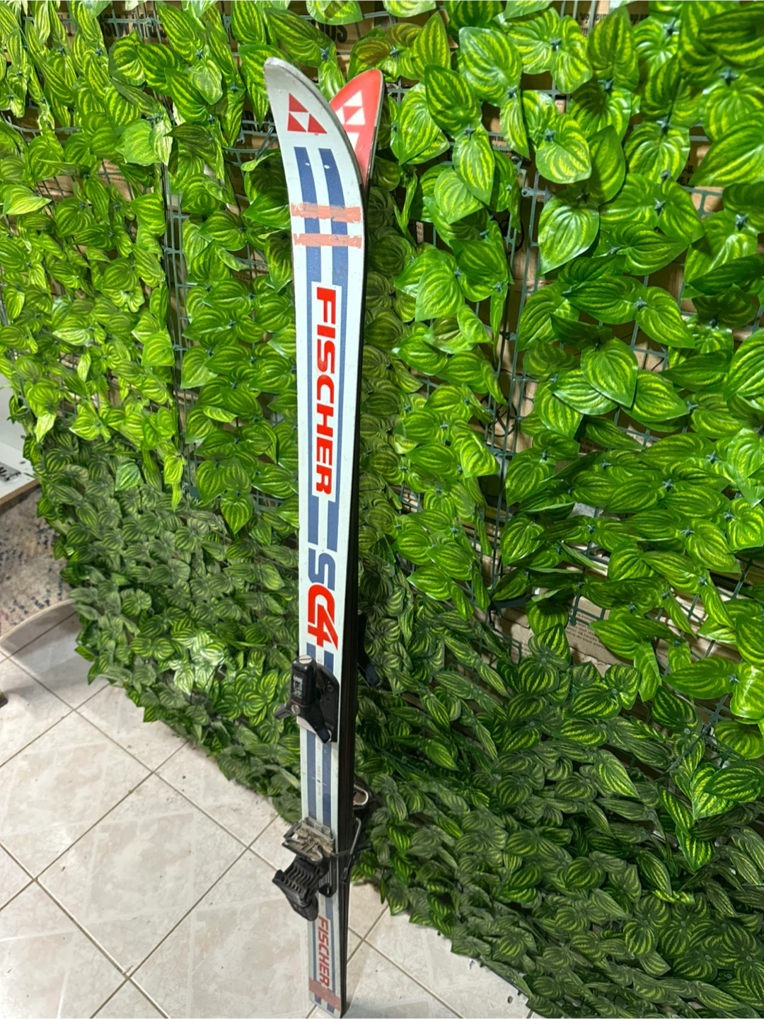 Fischer SC GS Downhill Mountain Skis, 58 inches long - photo 2