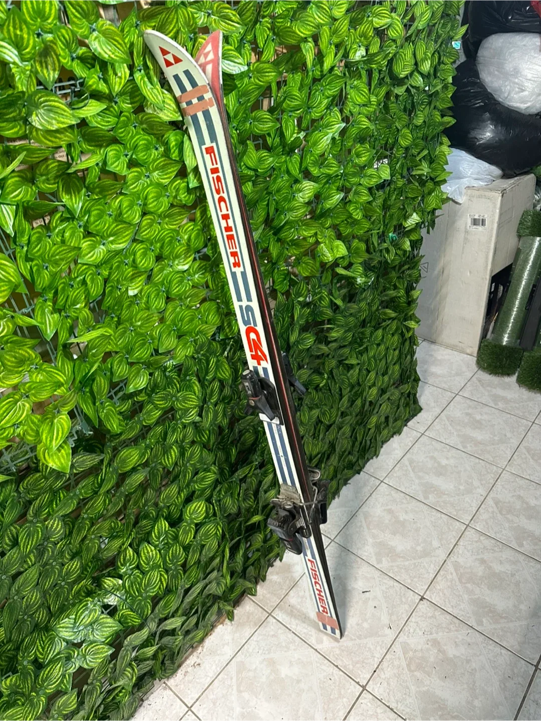 Fischer SC GS Downhill Mountain Skis, 58 inches long