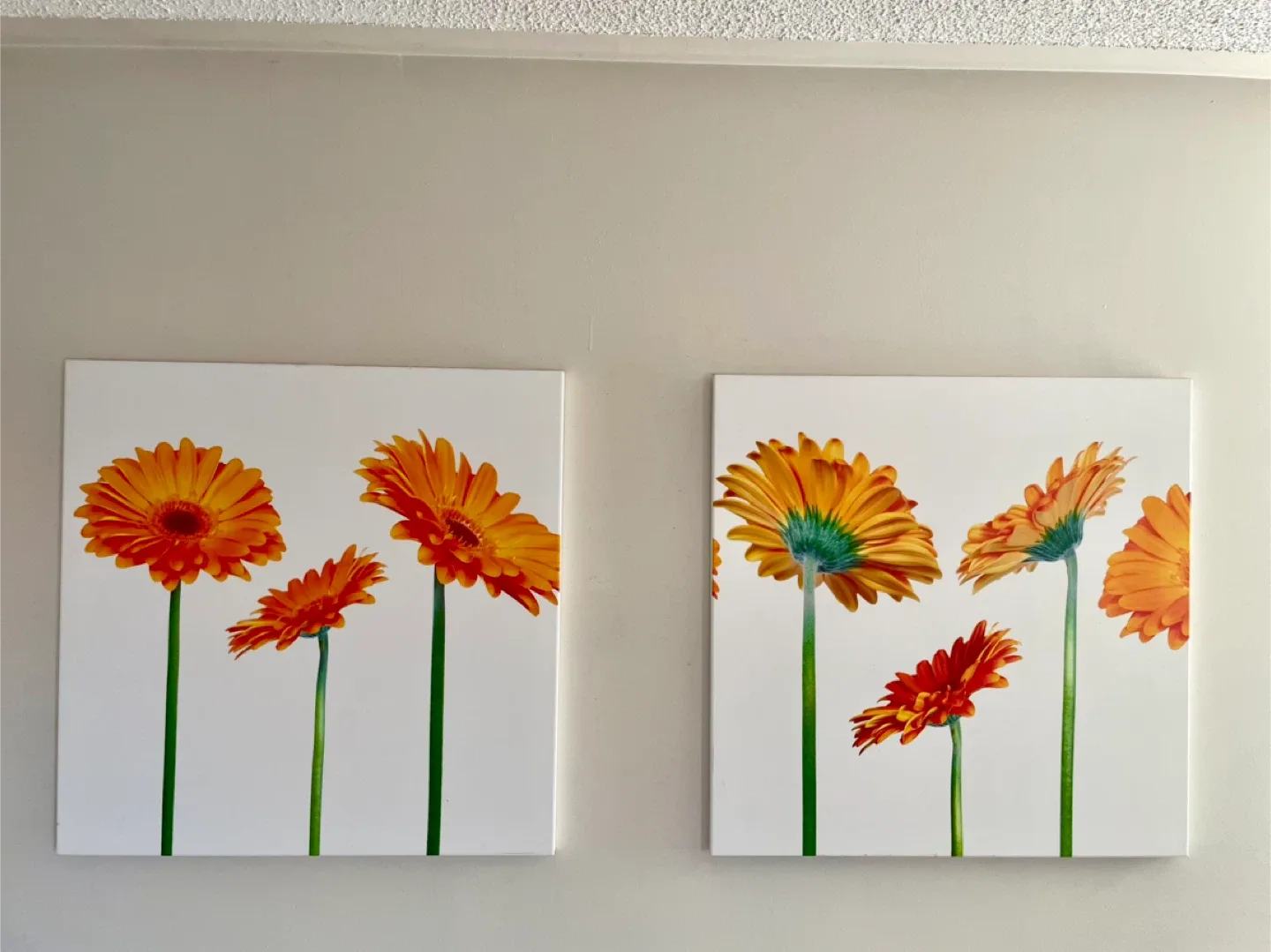 Wall Art - Set of 2