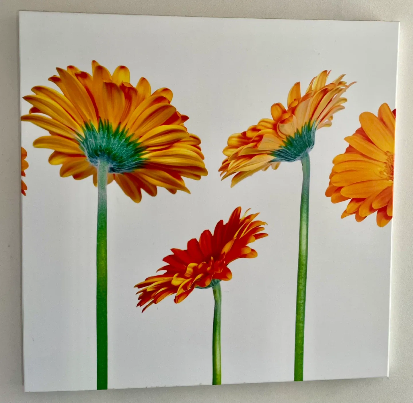 Wall Art - Set of 2 image indicator(3)