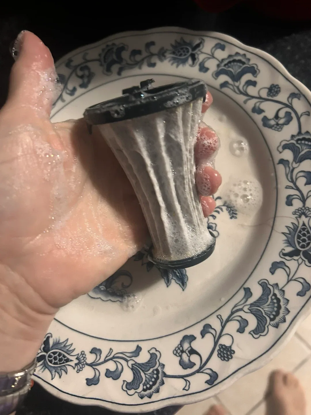 Electrolux Ergorapido Vacuum image indicator(8)