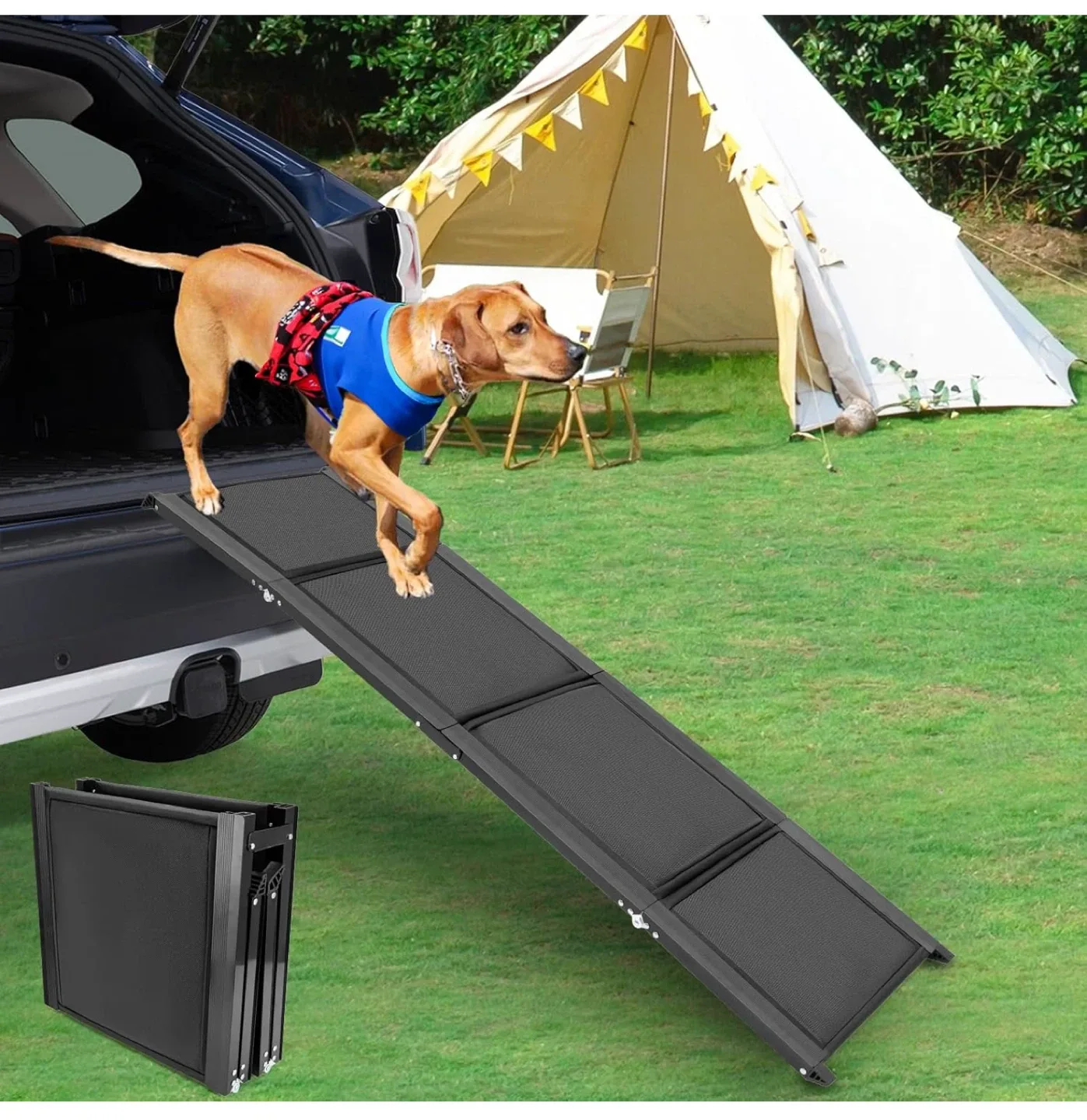 Longest Pet Ramp on the Market - 63in