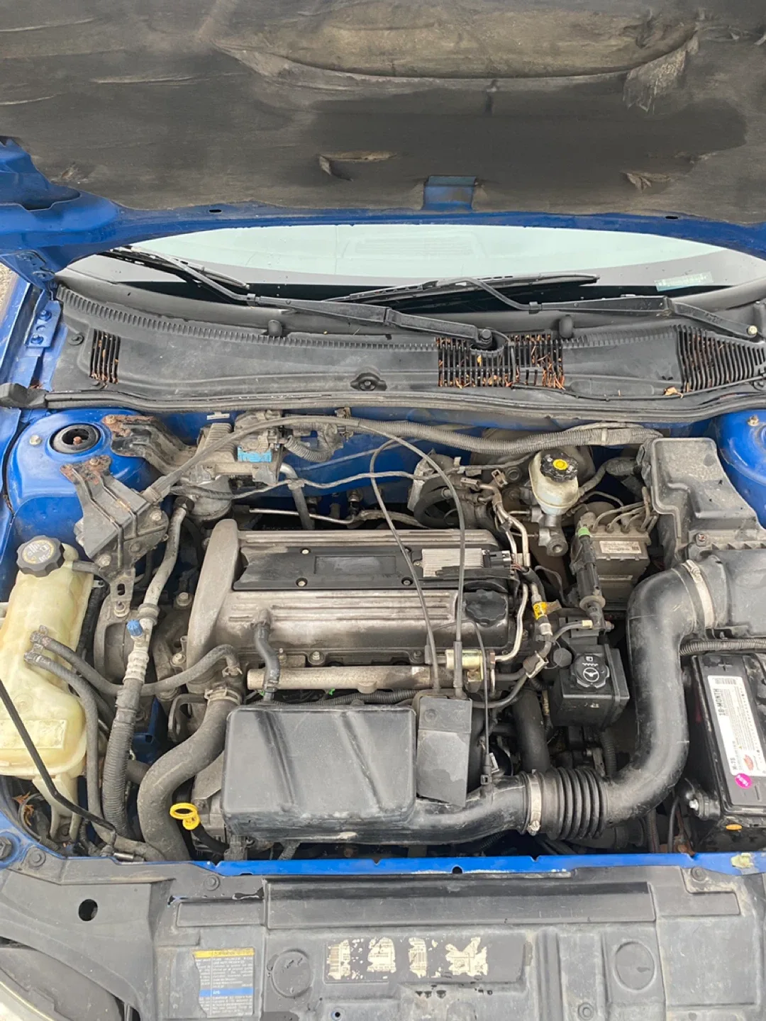 Chevrolet Cavalier Coupe - Blue image indicator(10)