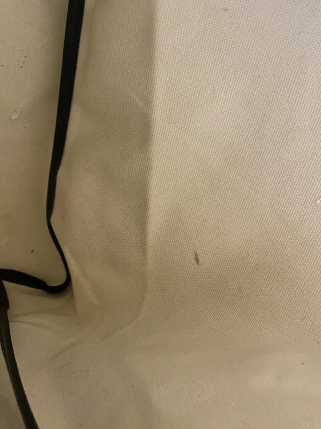 Smaller goyard tote 18x11x5 approximately image indicator(8)