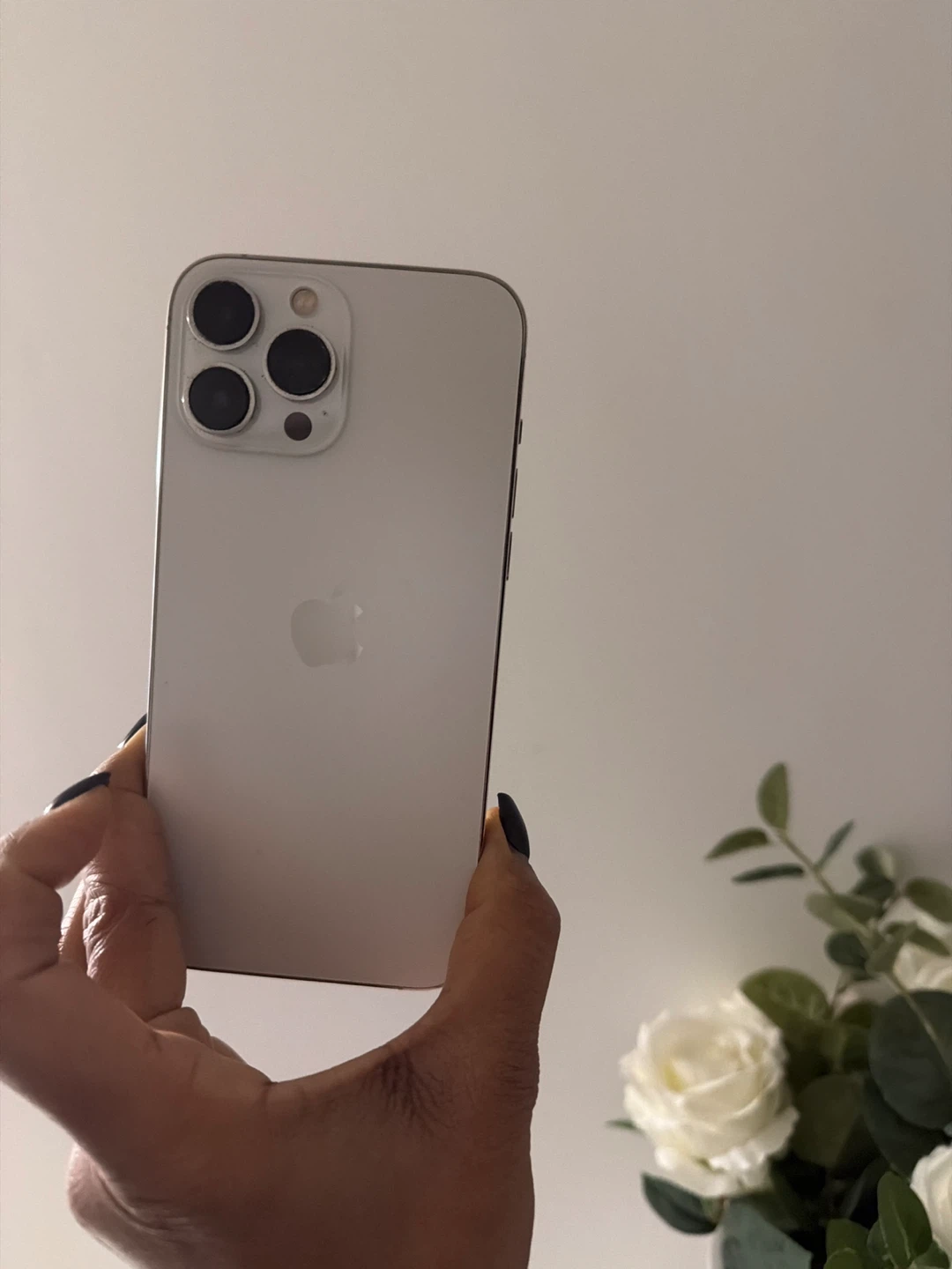 Apple iPhone 13 Pro Max - Silver - photo 4