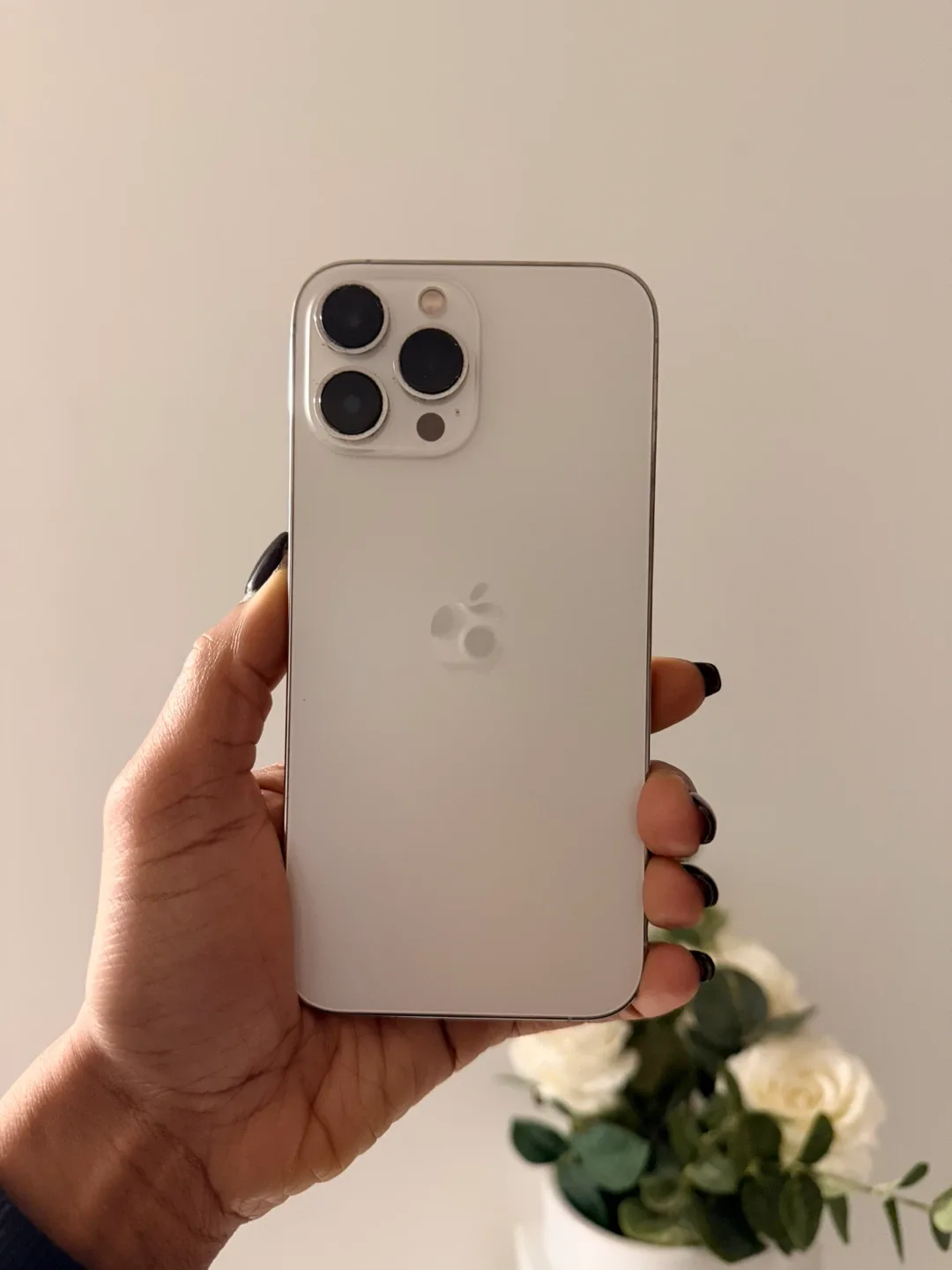 Apple iPhone 13 Pro Max - Silver