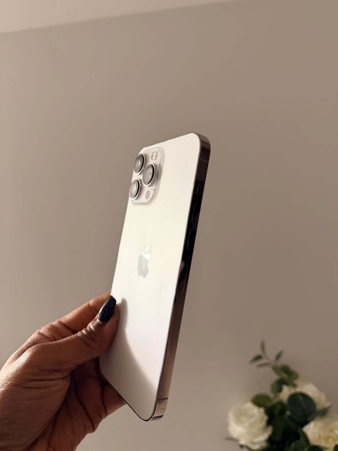 Apple iPhone 13 Pro Max - Silver - photo 5