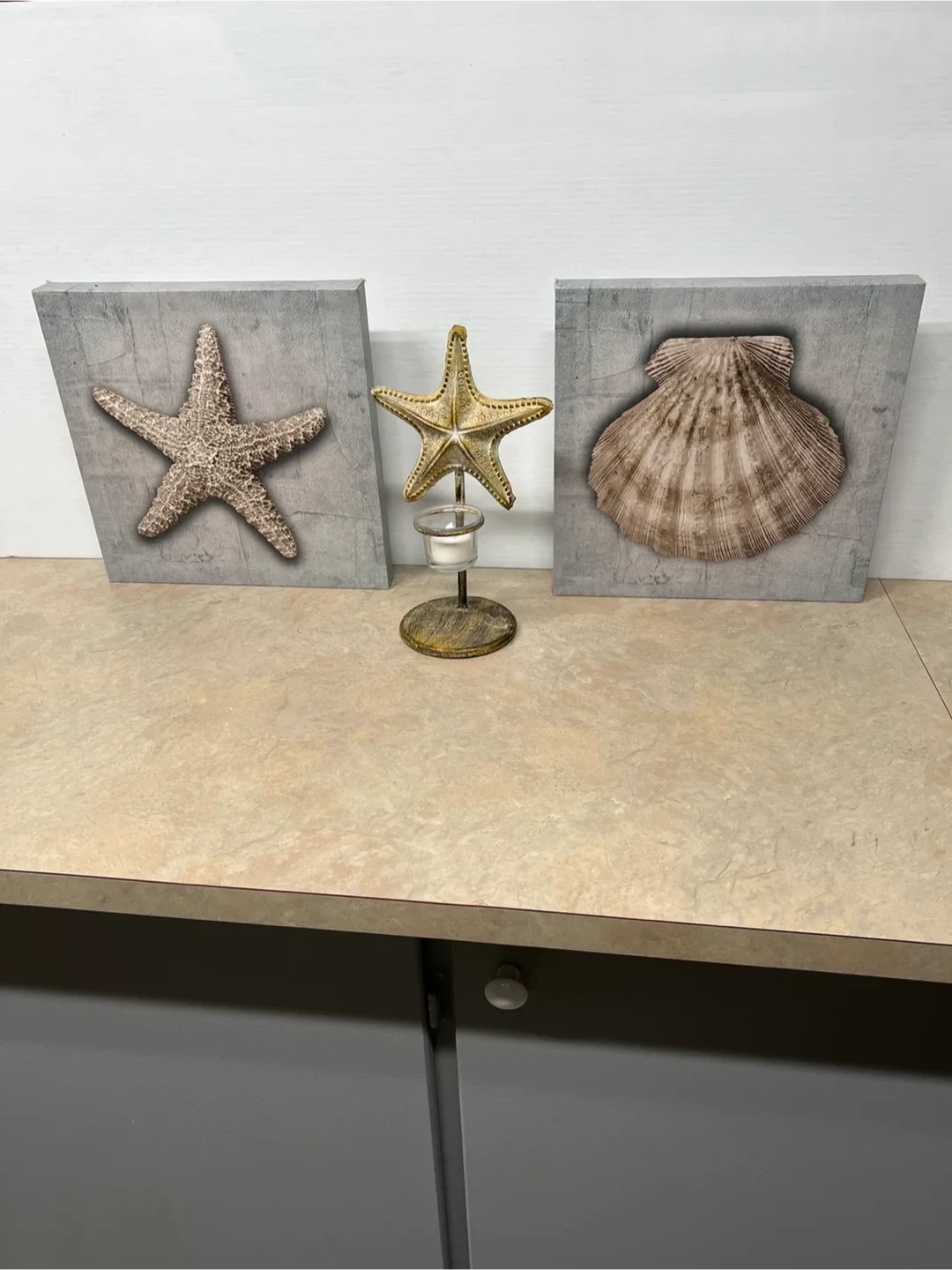 Starfish & Seashell Canvas Art Prints